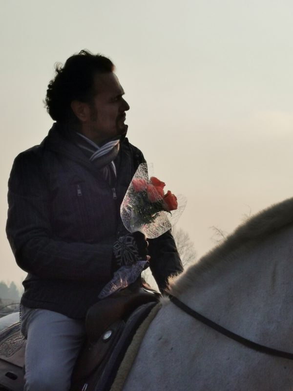 Un cavallo bianco e un messaggio d’amore