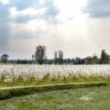 Un volo in elicottero e un agriturismo in campagna